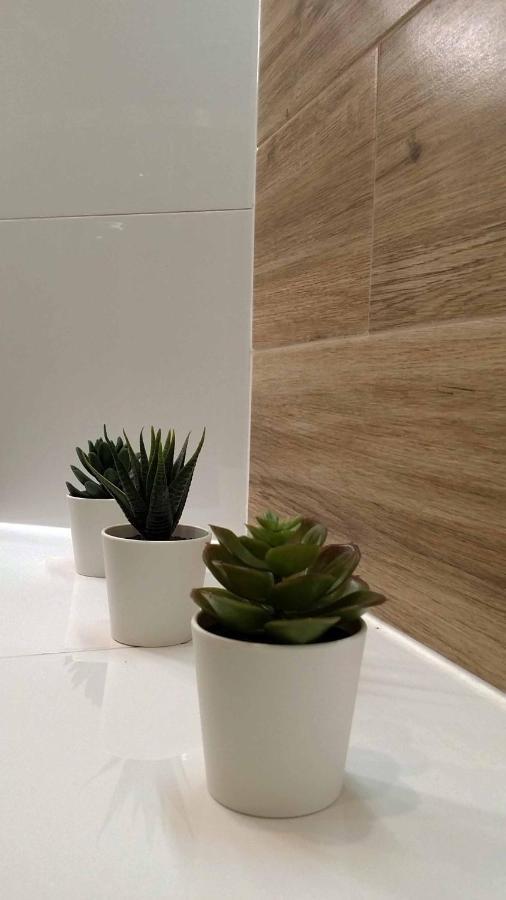 Apartament U Janka ヴィエリチカ エクステリア 写真